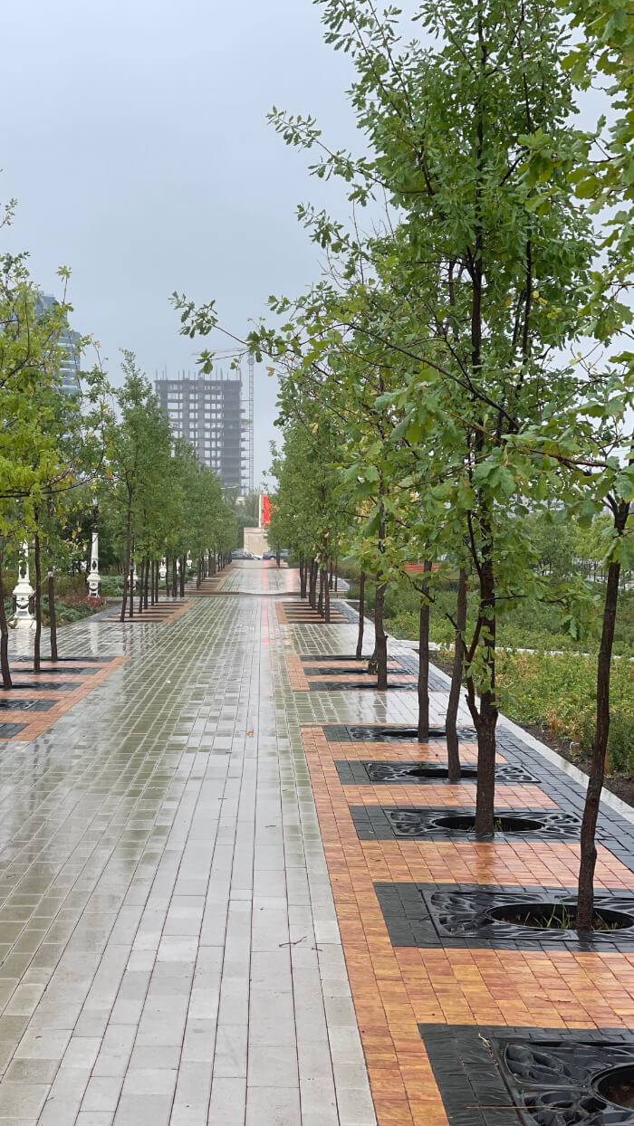 Приствольная решетка для дерева ZKING CRUST 1.2х1.2м Черная в Сосновый Бор фото