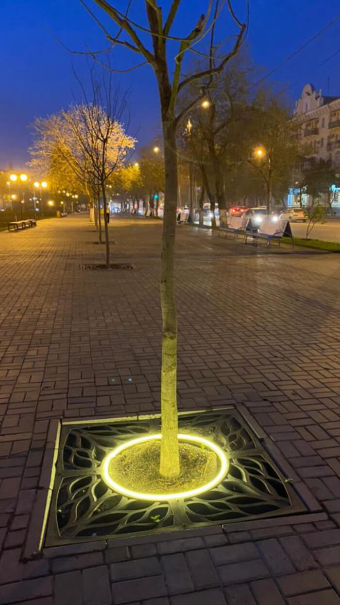 Приствольная решетка для дерева ZKING CRUST 1.2х1.2м Черная в Сосновый Бор фото